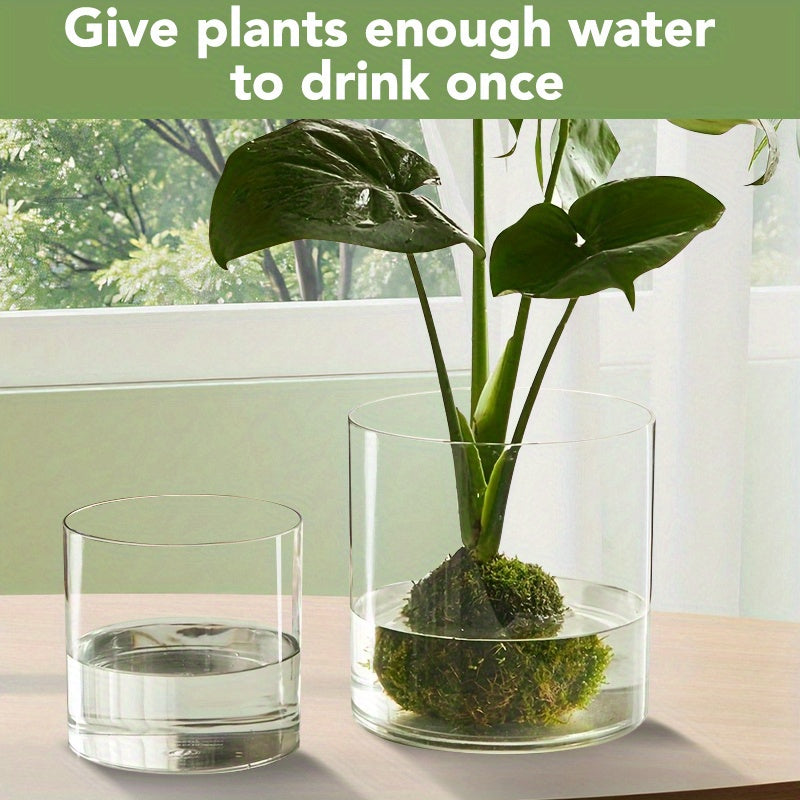 Contemporary Circular Acrylic Vase • Drop-Resistant Design • Ideal for Hydroponic Plants • Excellent Gift for Spouse • Perfect for Living Rooms, Windowsills, Offices, Desktops, Bedrooms, Kitchens