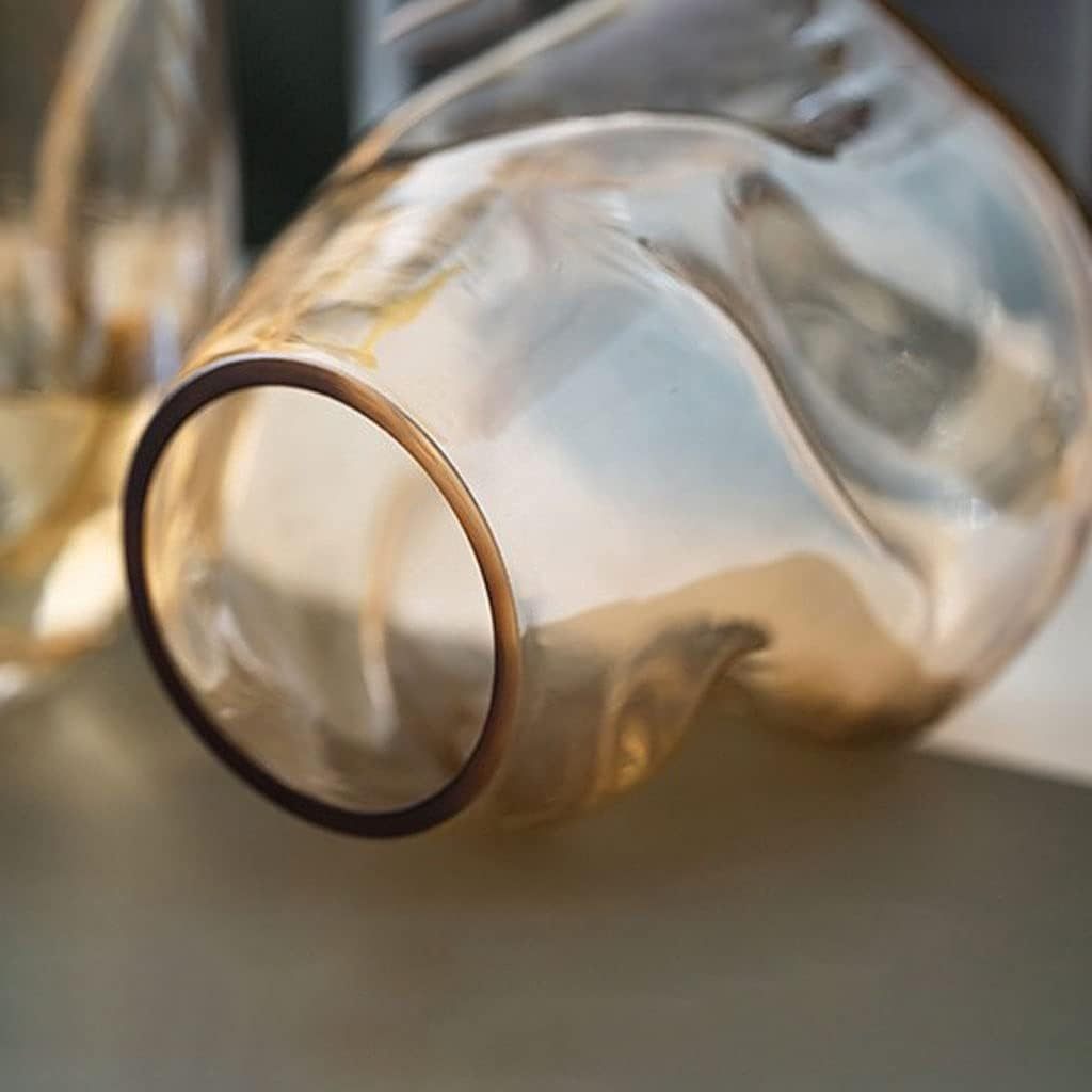 Glass Decorative Vase Modern Transparent Decorative Glass Vase - Irregular Shaped for Home Living Room and Office Desktop Decoration - Gift Vas