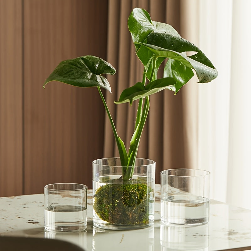 Contemporary Circular Acrylic Vase • Drop-Resistant Design • Ideal for Hydroponic Plants • Excellent Gift for Spouse • Perfect for Living Rooms, Windowsills, Offices, Desktops, Bedrooms, Kitchens