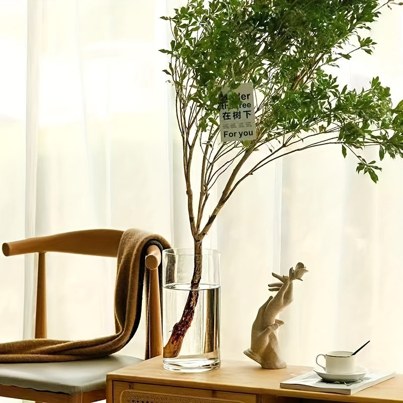 1pc • Acrylic Shatterproof • Large Diameter Transparent Vase • Straight Cylindrical Vase for Displaying Flowers