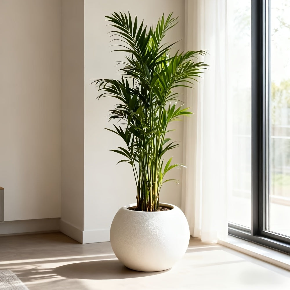 Decorative Flower Pots for Gardening Are Commonly Utilized in Home Decor for Living Rooms, Offices, Landscaping Projects, And Various Other Settings. They Are Ideal for Occasions Like Mother'S Day And Thanksgiving (Without Flowers)