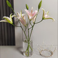 1pc • Acrylic Shatterproof • Large Diameter Transparent Vase • Straight Cylindrical Vase for Displaying Flowers