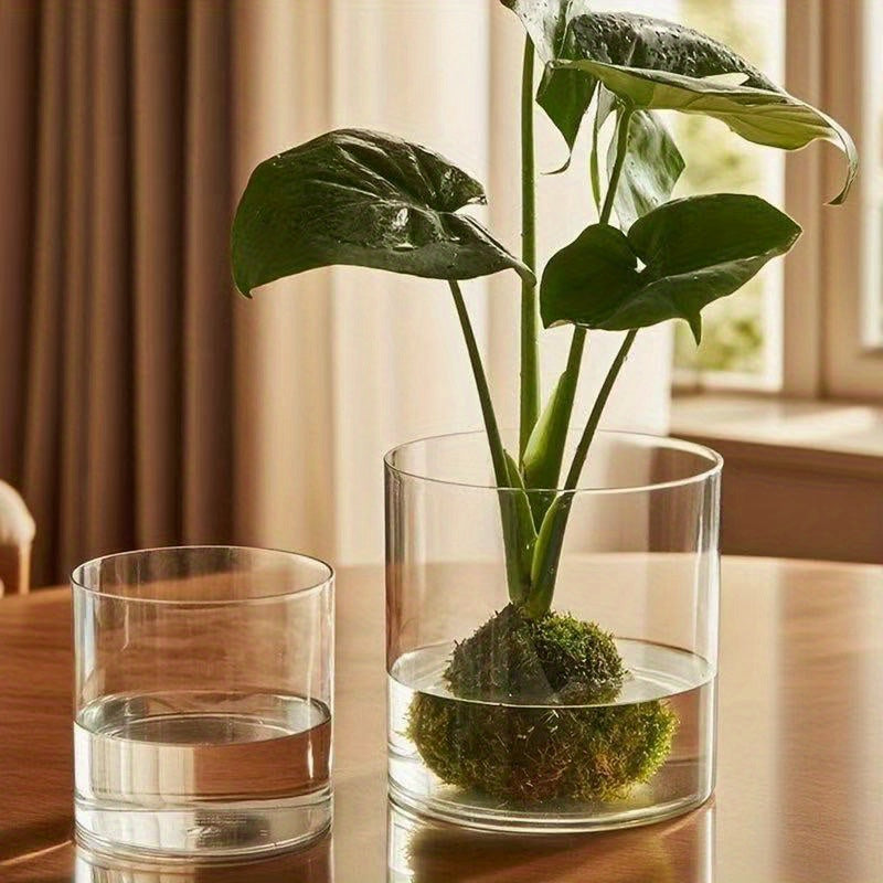 Contemporary Circular Acrylic Vase • Drop-Resistant Design • Ideal for Hydroponic Plants • Excellent Gift for Spouse • Perfect for Living Rooms, Windowsills, Offices, Desktops, Bedrooms, Kitchens
