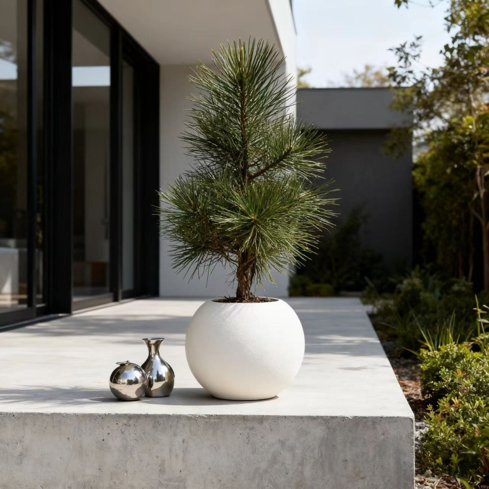 Decorative Flower Pots for Gardening Are Commonly Utilized in Home Decor for Living Rooms, Offices, Landscaping Projects, And Various Other Settings. They Are Ideal for Occasions Like Mother'S Day And Thanksgiving (Without Flowers)