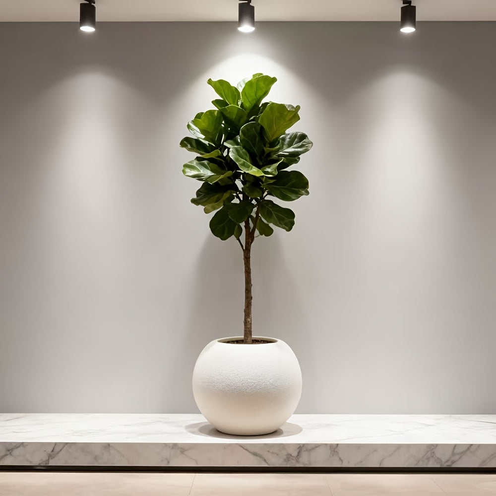 Decorative Flower Pots for Gardening Are Commonly Utilized in Home Decor for Living Rooms, Offices, Landscaping Projects, And Various Other Settings. They Are Ideal for Occasions Like Mother'S Day And Thanksgiving (Without Flowers)